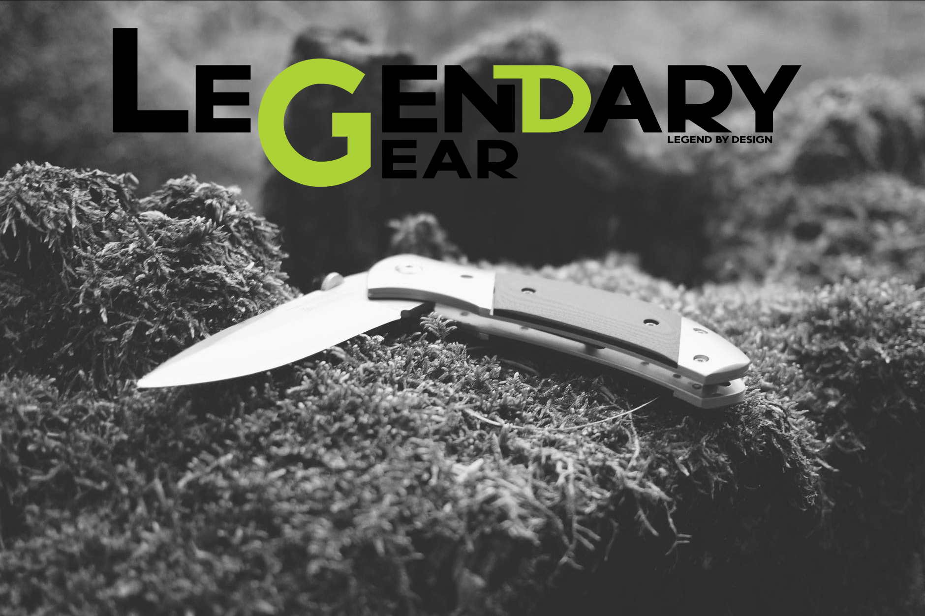 Logo-Design von dhelle für dieses Projekt | Design #24604906