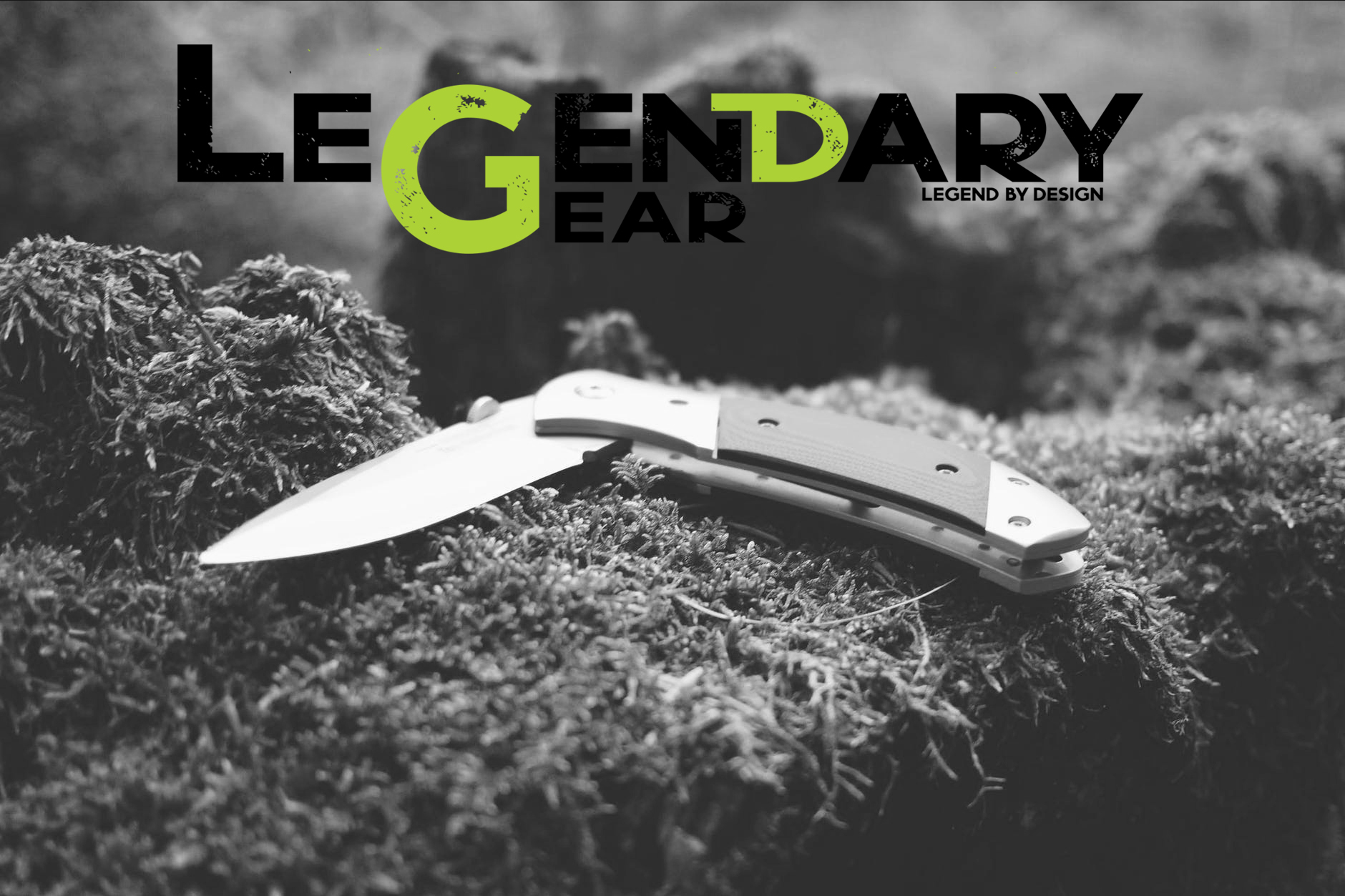 Logo-Design von dhelle für dieses Projekt | Design #24604907