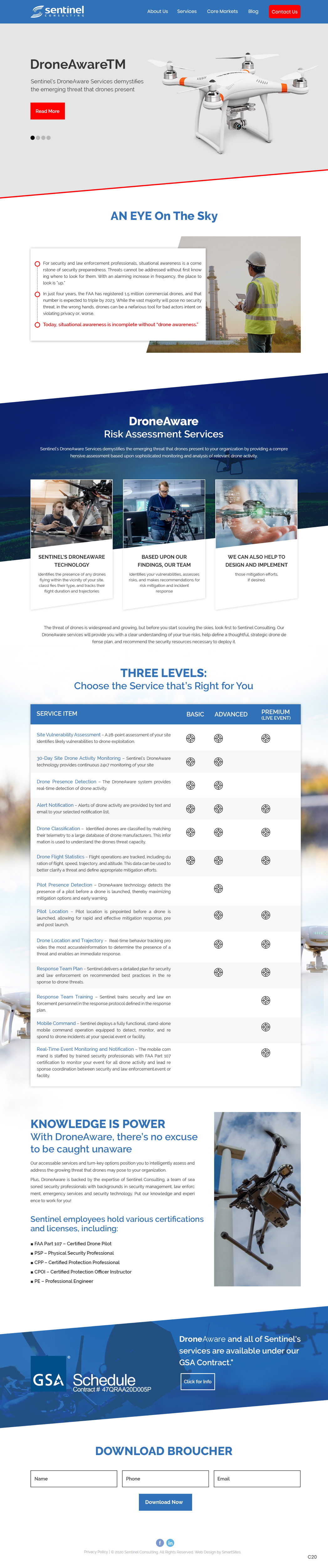 Web Design by pb for Sentinel Consulting, LLC | Design #24570104