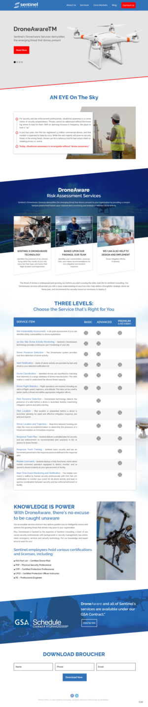 Web Design by pb for Sentinel Consulting, LLC | Design: #24570104