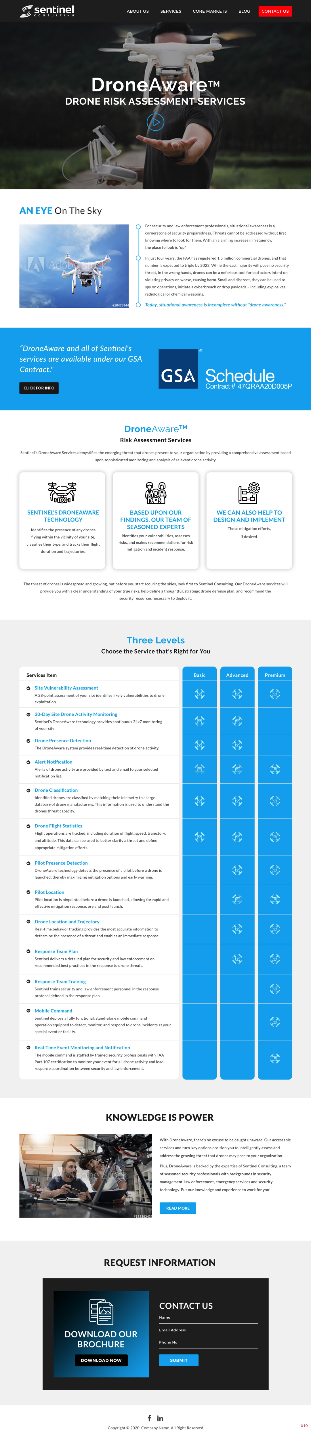 Web Design by pb for Sentinel Consulting, LLC | Design #24577980