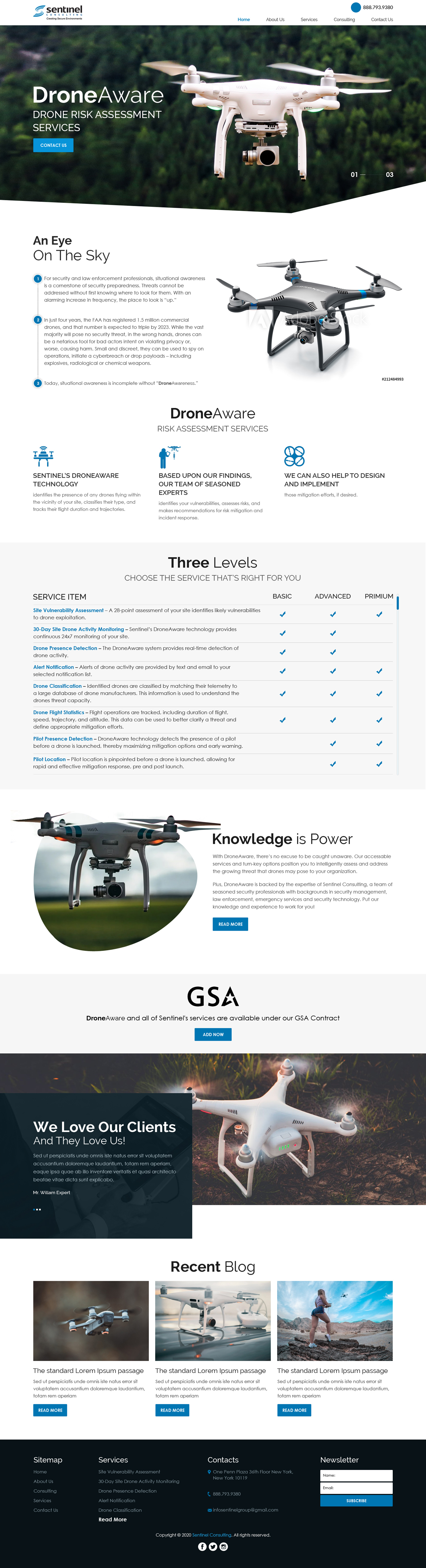Web Design by sai.designer87 for Sentinel Consulting, LLC | Design #24582709