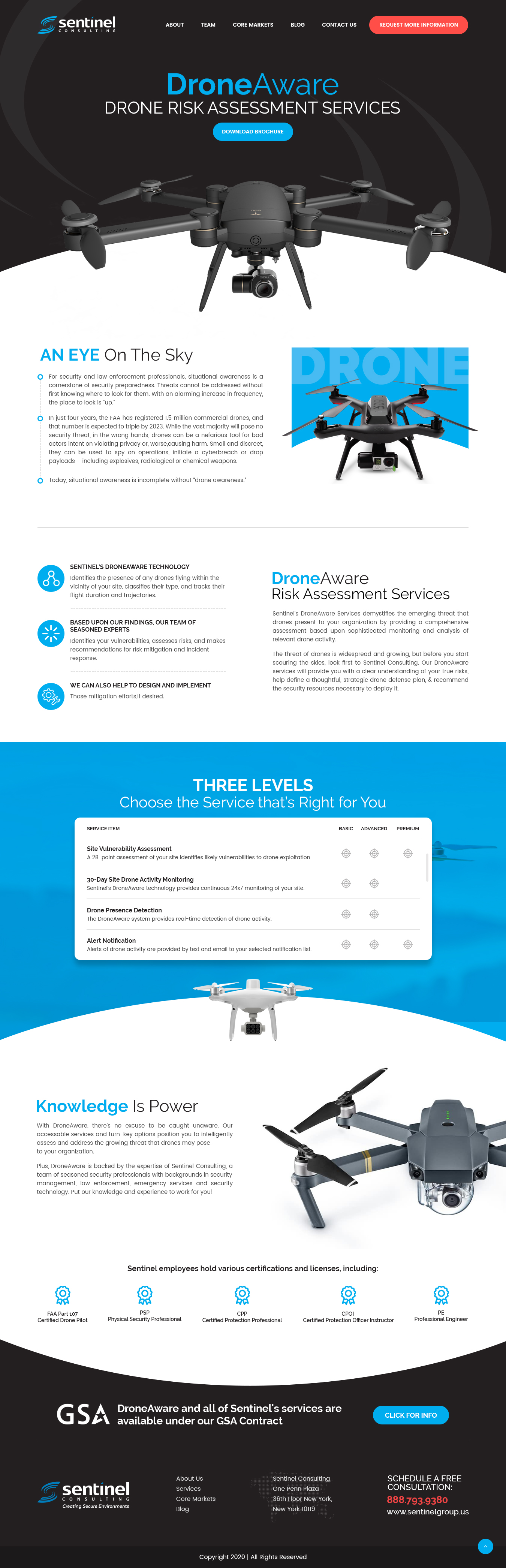 Web Design by nzdesigners for Sentinel Consulting, LLC | Design #24609965