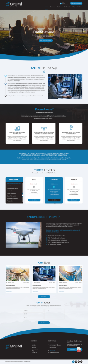Diseño Web por bdesigner9 para Sentinel Consulting, LLC | Diseño #24574255
