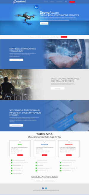 Diseño Web por shopping.tribe@gmail.com para Sentinel Consulting, LLC | Diseño #24592187