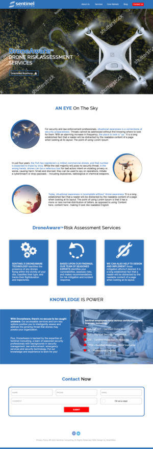 Web Design by CJV Creative for Sentinel Consulting, LLC | Design: #24582130