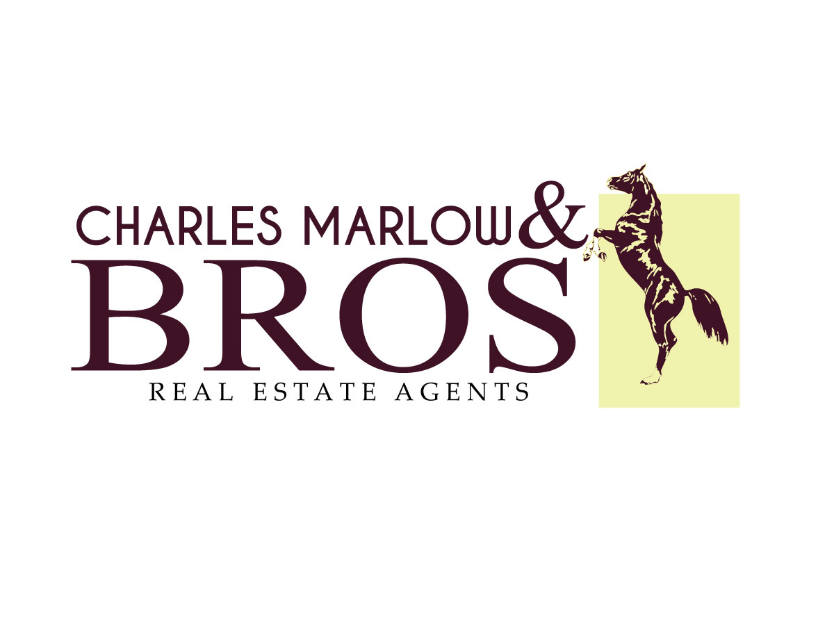 Logo Design by Gbenga for Copperstone Trading S.L. B57836884 | Design #3031745