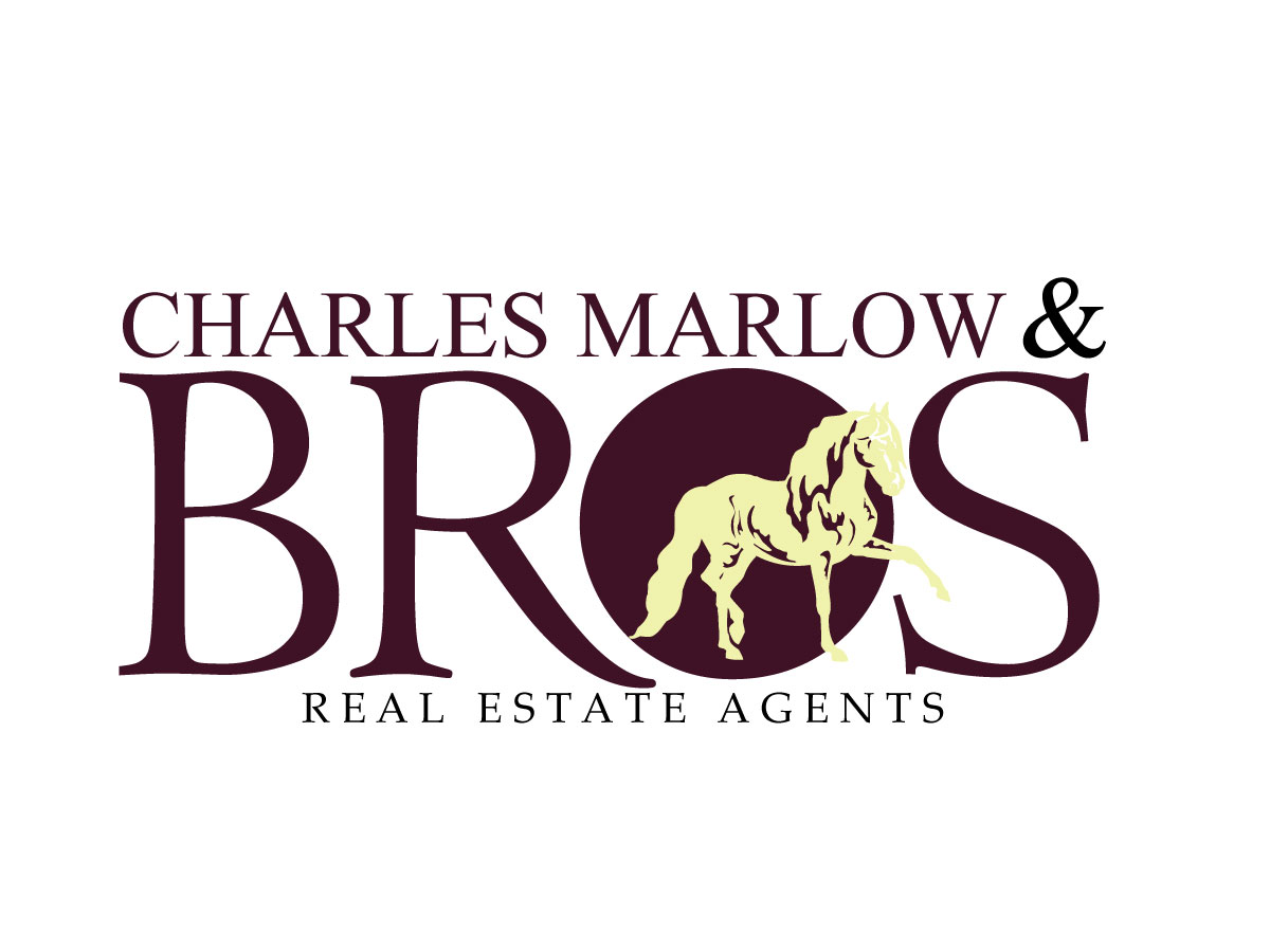 Logo Design by Gbenga for Copperstone Trading S.L. B57836884 | Design #3031812