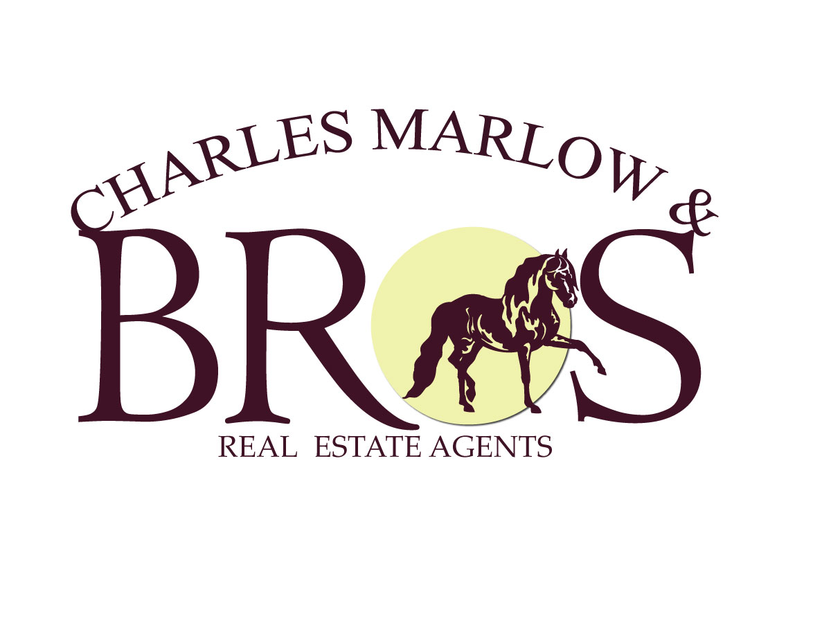 Logo Design by Gbenga for Copperstone Trading S.L. B57836884 | Design #3031821