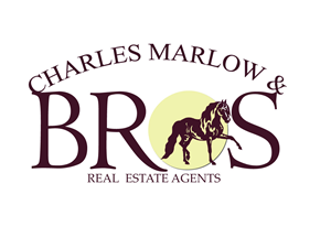 Diseño de Logo por Gbenga para Copperstone Trading S.L. B57836884 | Diseño: #3031821