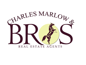 Diseño de Logo por Gbenga para Copperstone Trading S.L. B57836884 | Diseño: #3031825