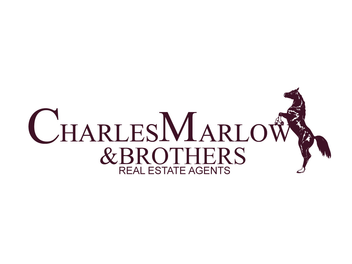 Logo Design by Gbenga for Copperstone Trading S.L. B57836884 | Design #3031831