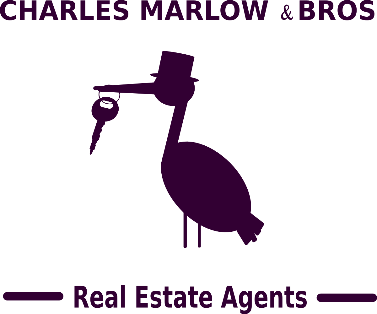 Logo Design by Tvorchiy_akrobat for Copperstone Trading S.L. B57836884 | Design #3039889