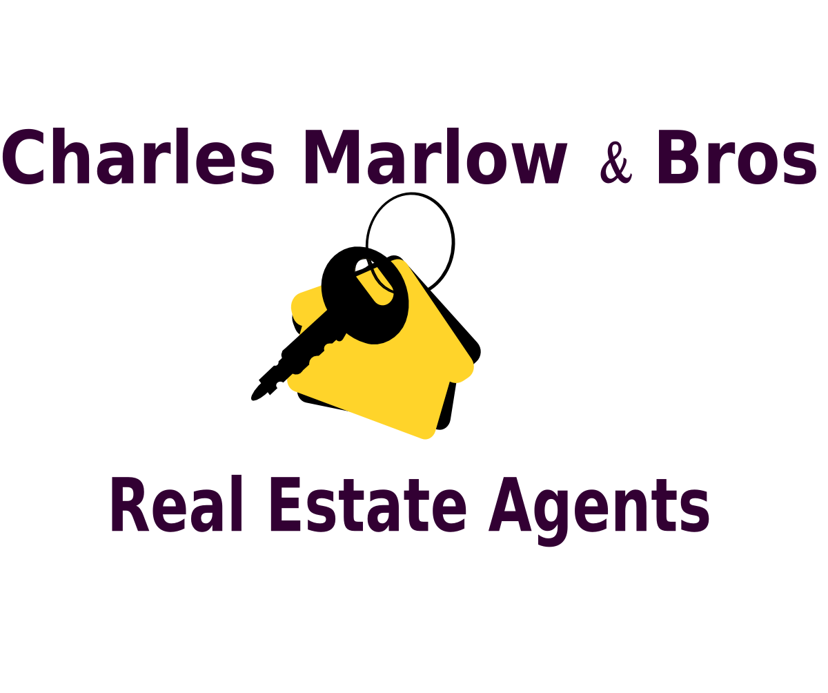 Logo Design by Tvorchiy_akrobat for Copperstone Trading S.L. B57836884 | Design #3040107