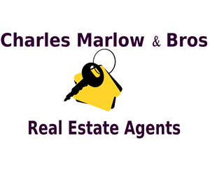 Diseño de Logo por Tvorchiy_akrobat para Copperstone Trading S.L. B57836884 | Diseño: #3040107