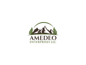 Amedeo Enterprises LLC | Logo Design by Slant Line Media