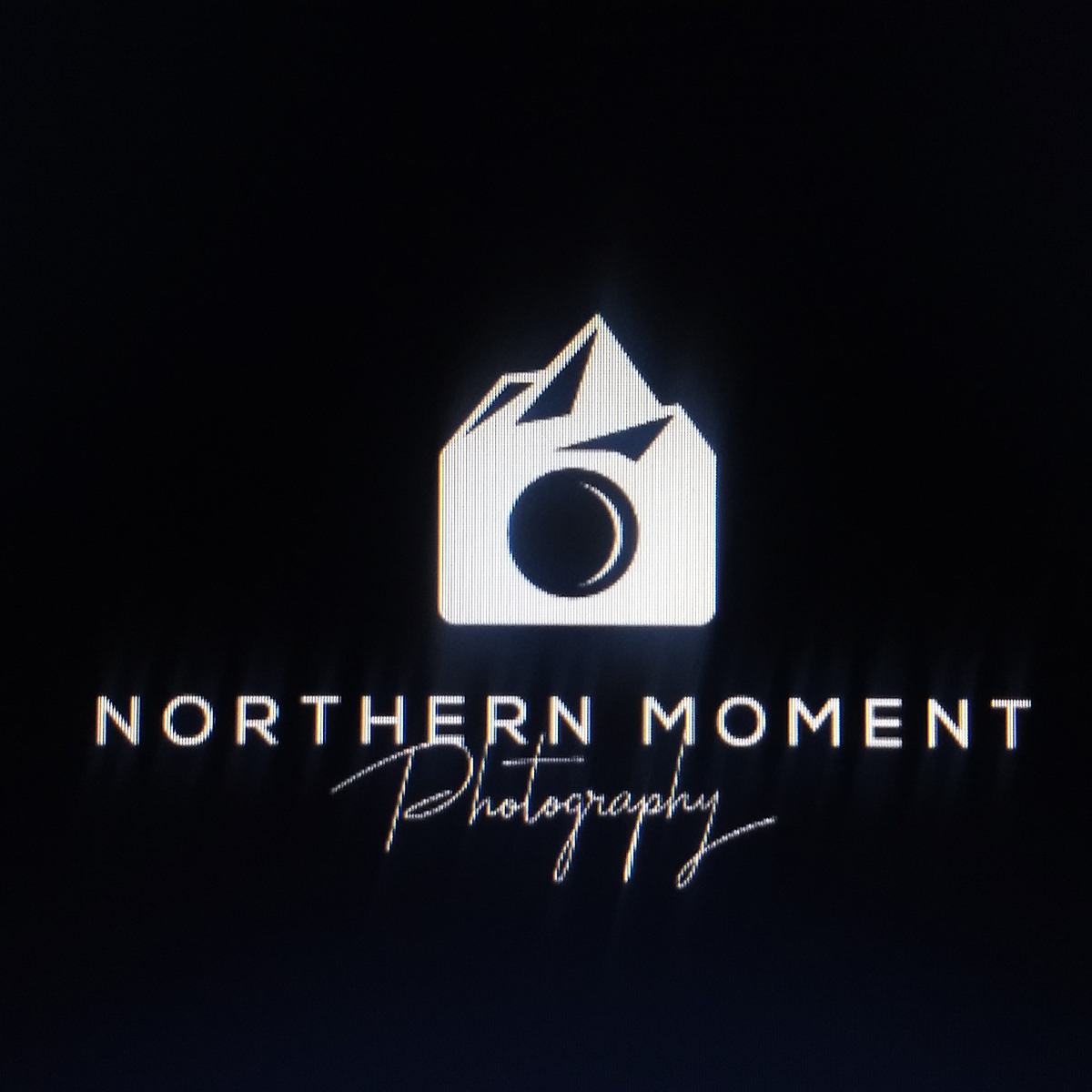 Logo Design by ESolz Technologies for Spruce Tree Media Ltd. | Design #24576728