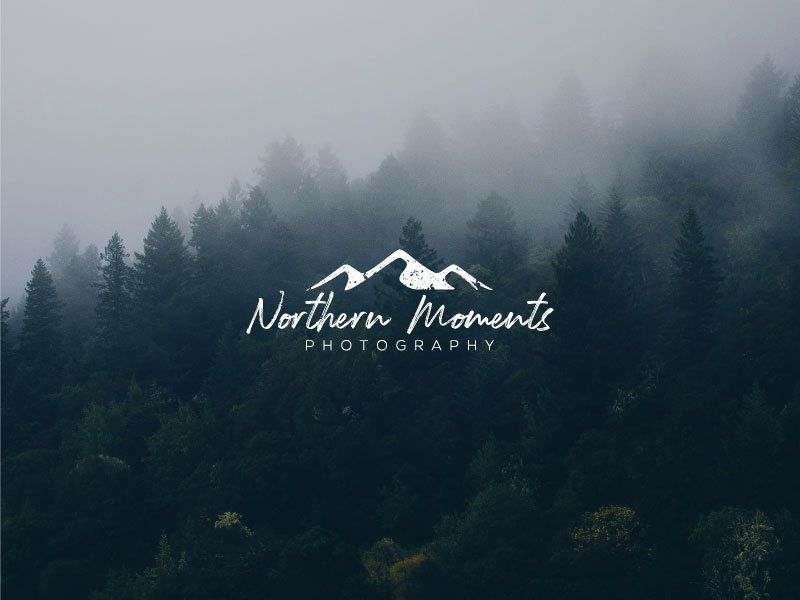 Logo Design by alhajhossain 2 for Spruce Tree Media Ltd. | Design #24573477