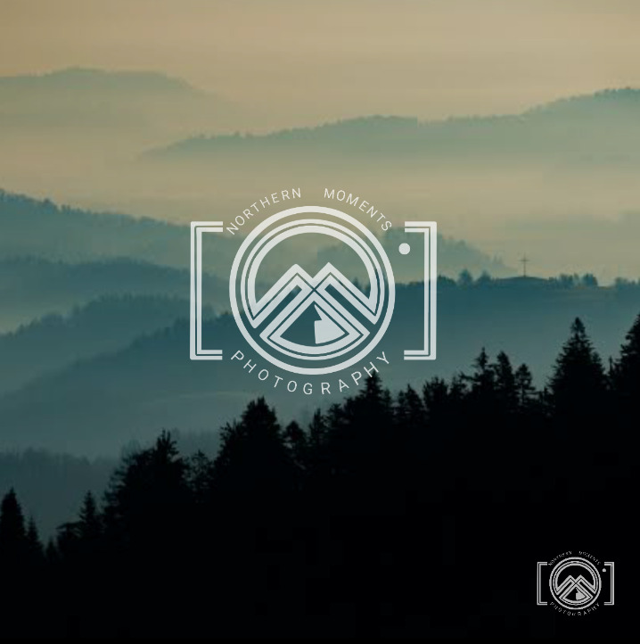 Design de Logo par Make It Happen™ pour Spruce Tree Media Ltd. | Design #24586017