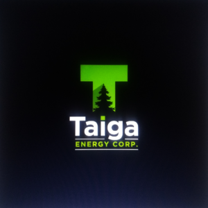 Logo Design by ESolz Technologies