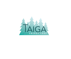 Logo Design by Taiki Design