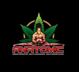 Logo Design by Graphic Bricks