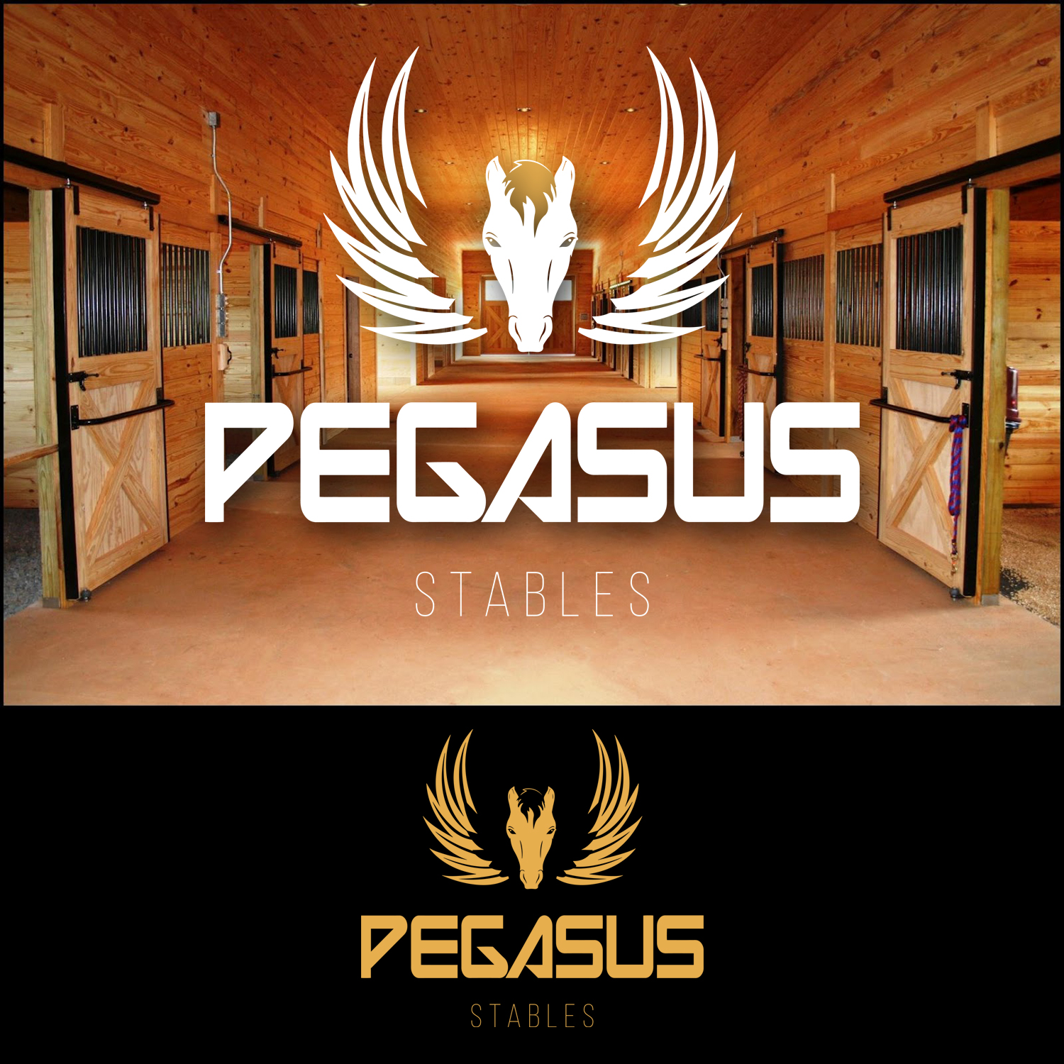 Logo Design by Light Hand Design for this project | Design #24588554