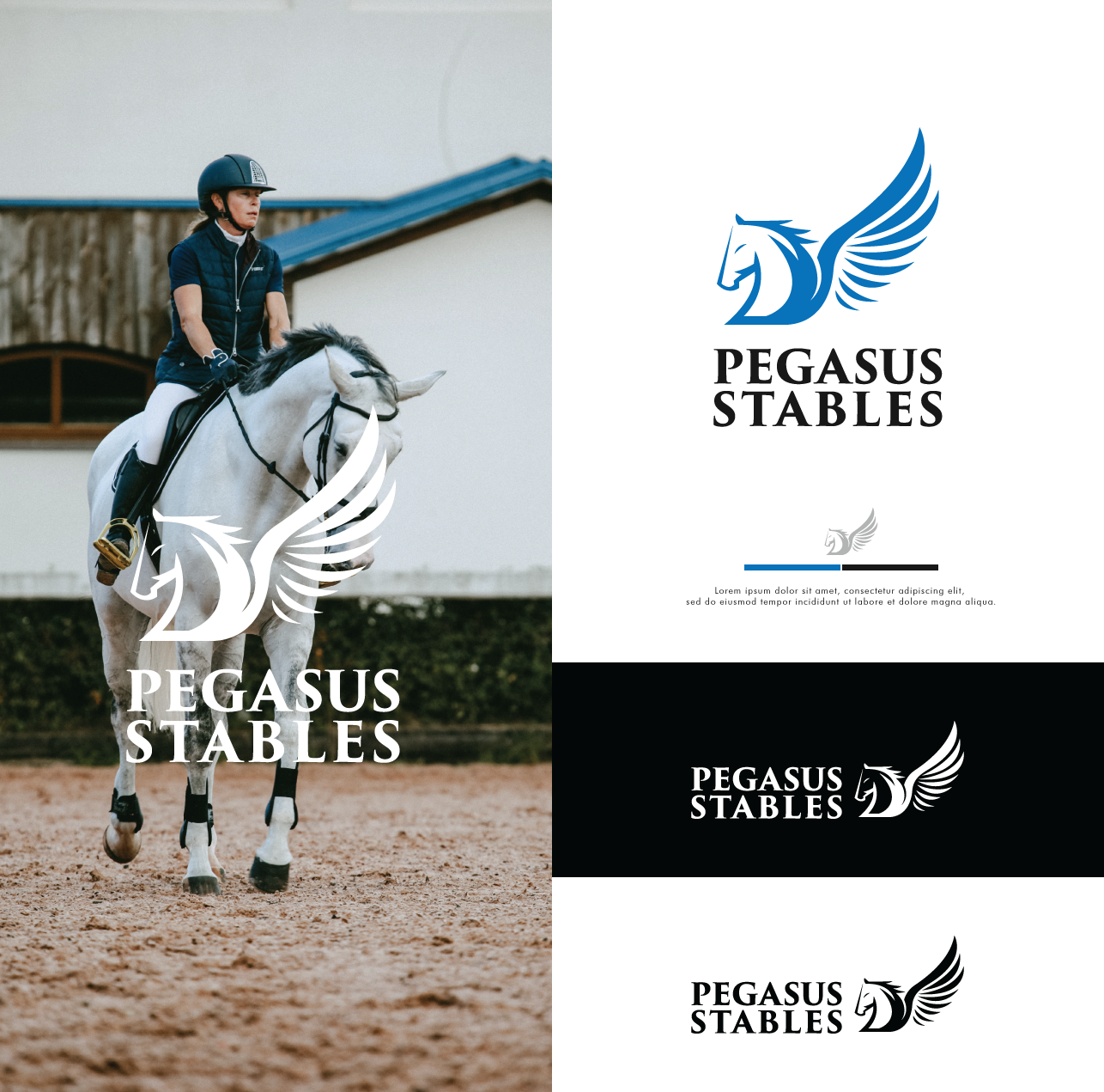 Logo Design by Ara Studio for this project | Design #24589721