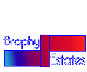 Logo Design by Imó
