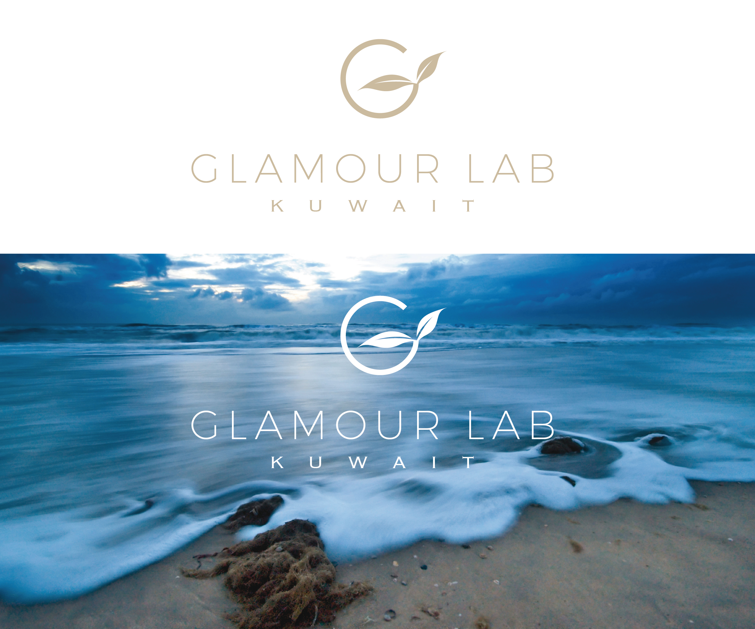 Diseño de Logo por mariosigncom para este proyecto | Diseño #24609072