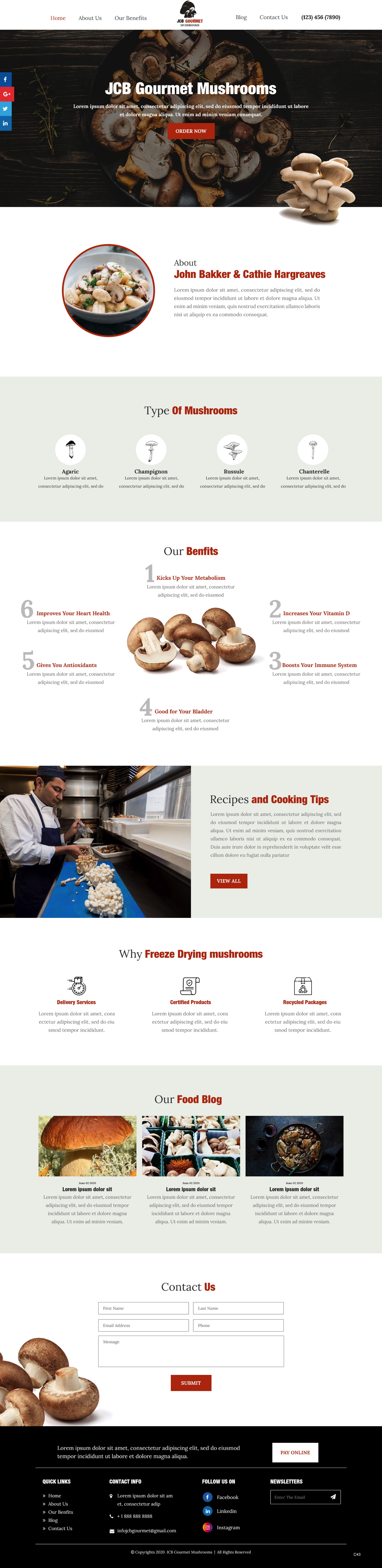 Web Design by pb for JCB Gourmet Mushrooms | Design #24625598