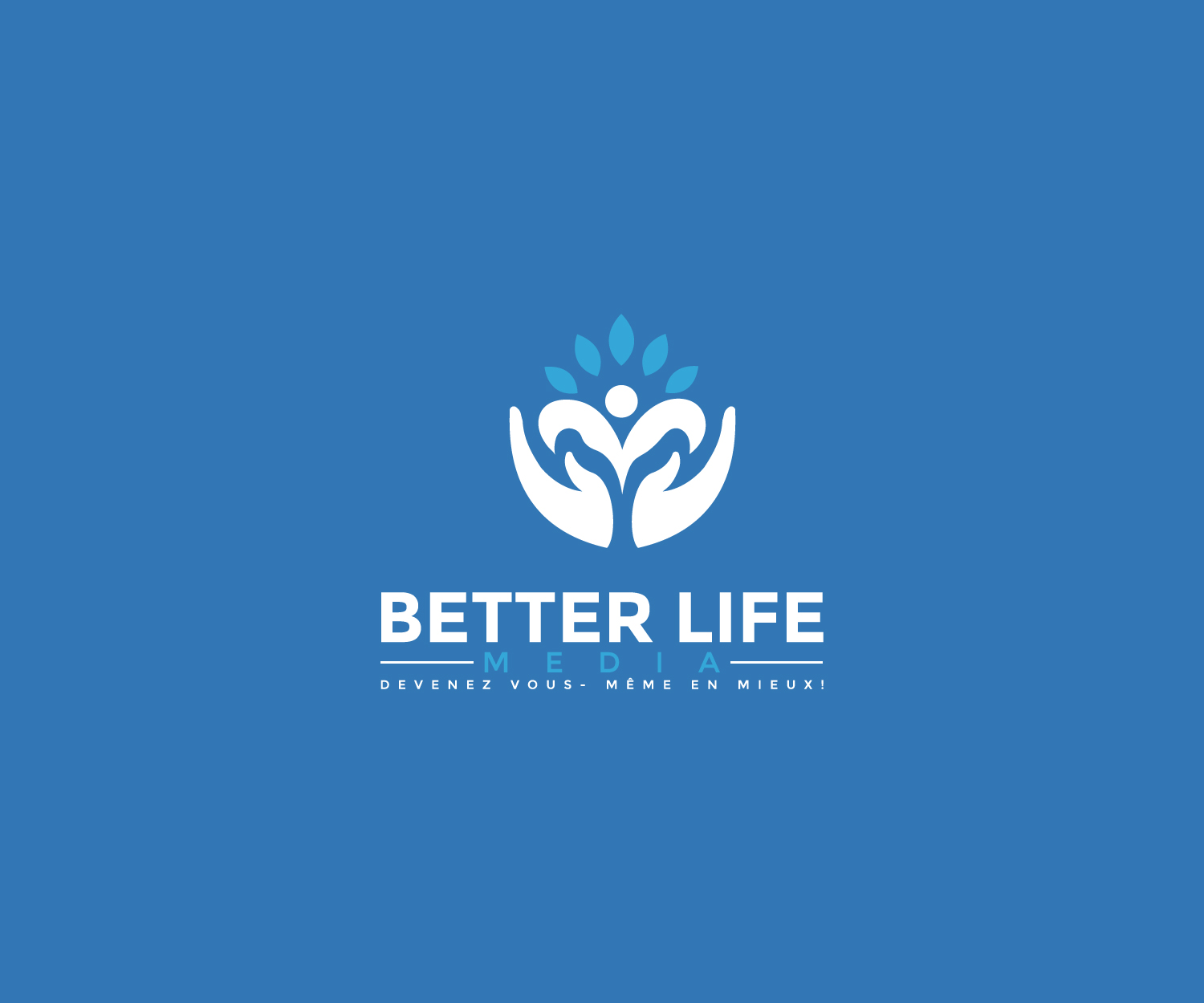 Logo Design by AinebAyoub for Blue Steel Interactive | Design #24615344