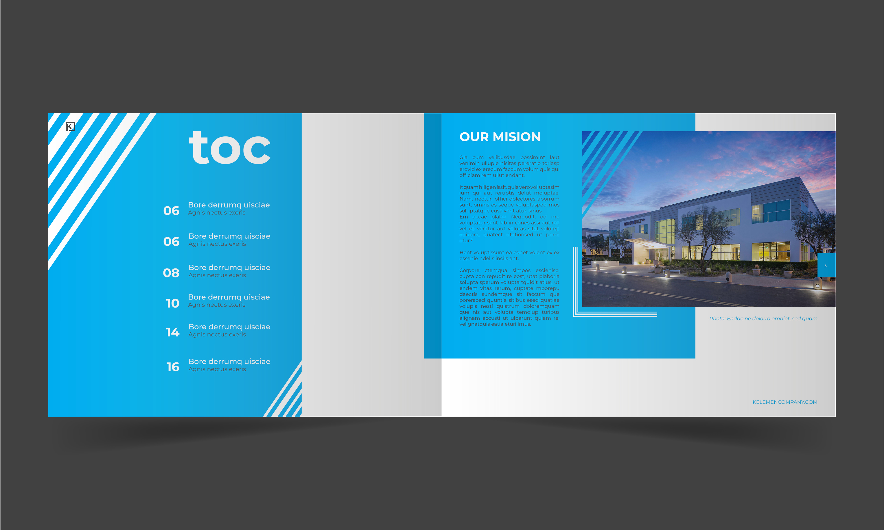 Design de Catalogue par Louie Fuentes | Manobo Graphic Design Services pour Kelemen Company  | Design #24649053