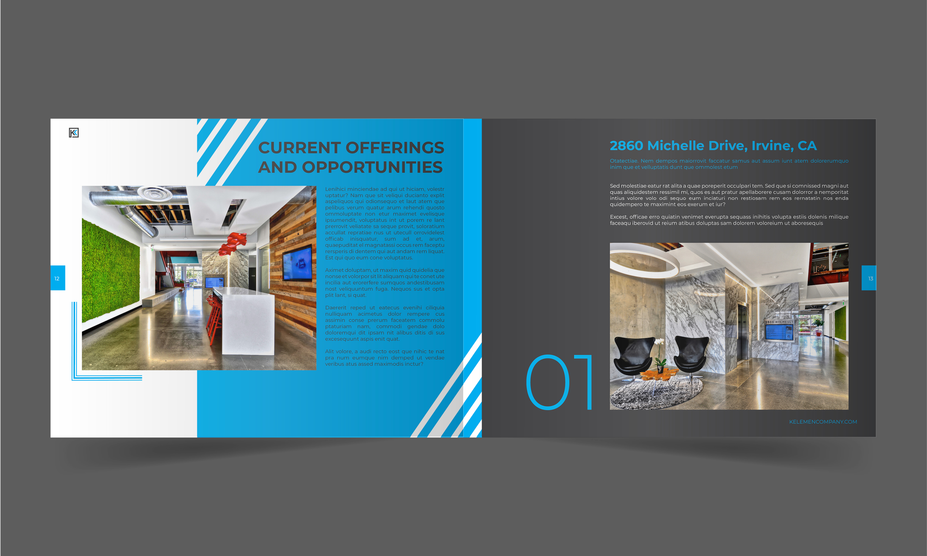 Design de Catalogue par Louie Fuentes | Manobo Graphic Design Services pour Kelemen Company  | Design #24673742