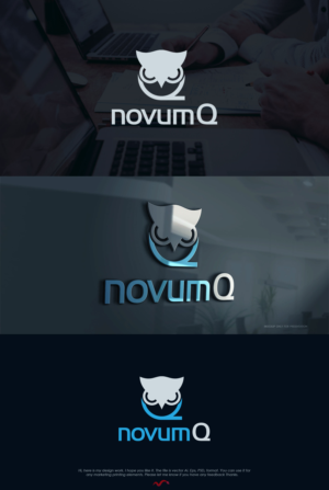 NOVUM Q | Logo Design by Mono.co