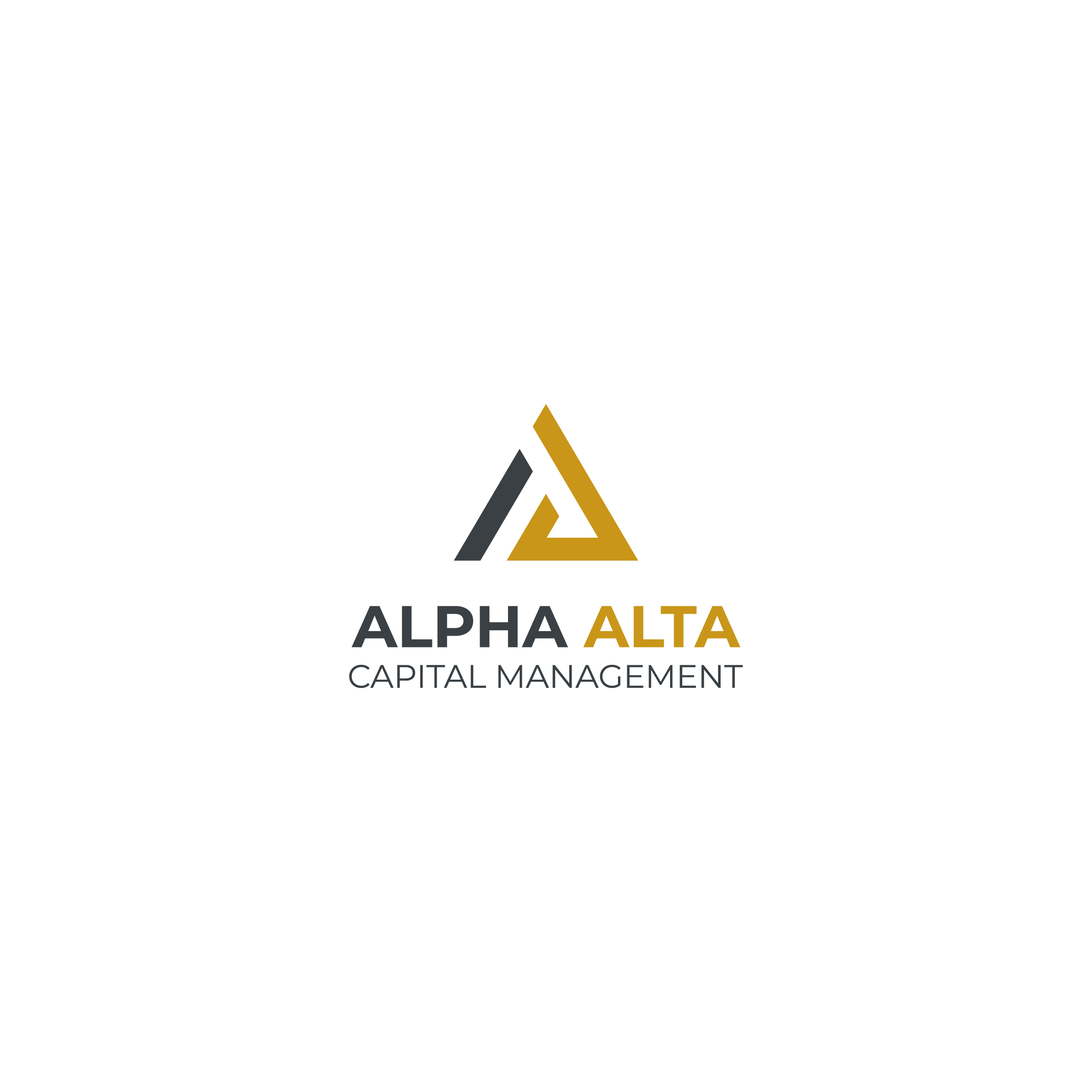 Design de Logo par 1st pour Boldmore Growth Partners | Design : #24661111