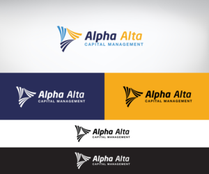 Design de Logo par edwinnegz1 pour Boldmore Growth Partners | Design : #24618607