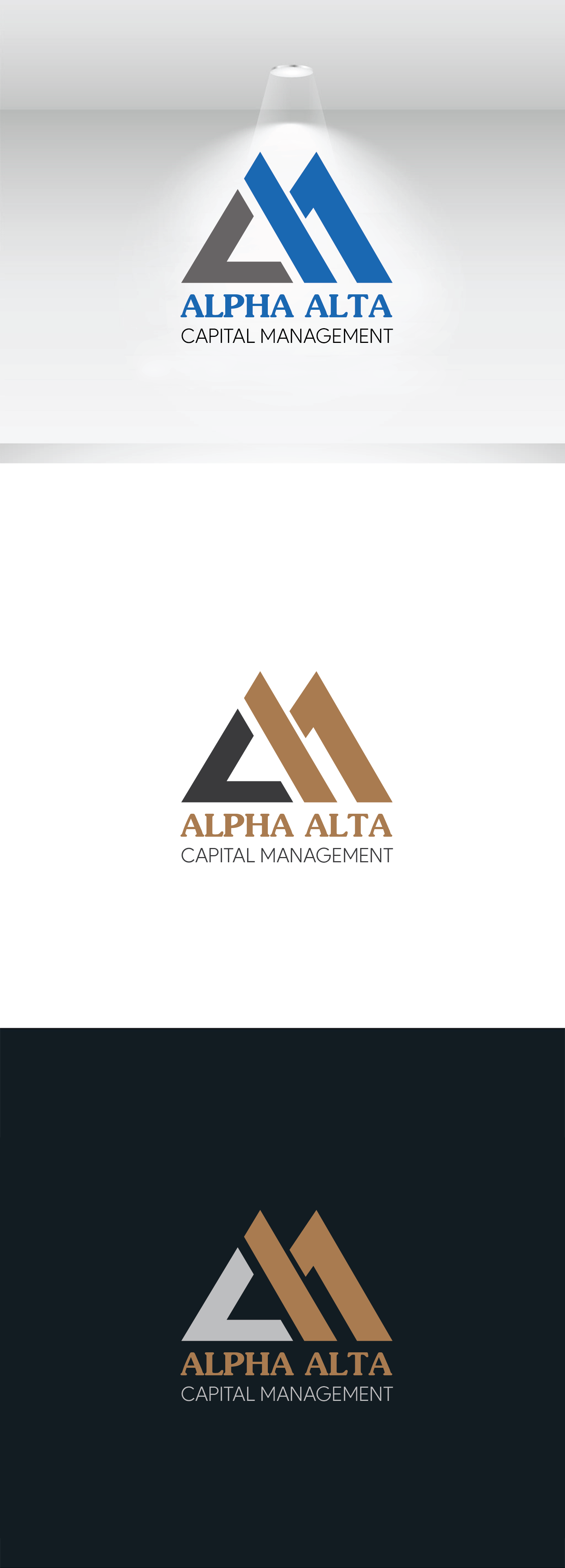 Design de Logo par Design_House_2 pour Boldmore Growth Partners | Design #24664958