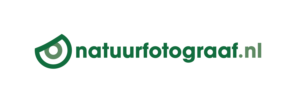 Logo Design by Francisco for this project | Design: #24633952