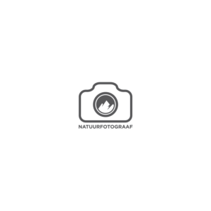 Logo Design by Verified artistry (Design garden) for this project | Design: #24673058