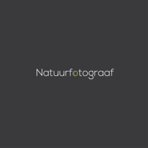 Logo Design by Aleff for this project | Design: #24677457