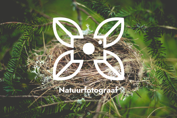 Logo Design by Multiart for this project | Design #24640207