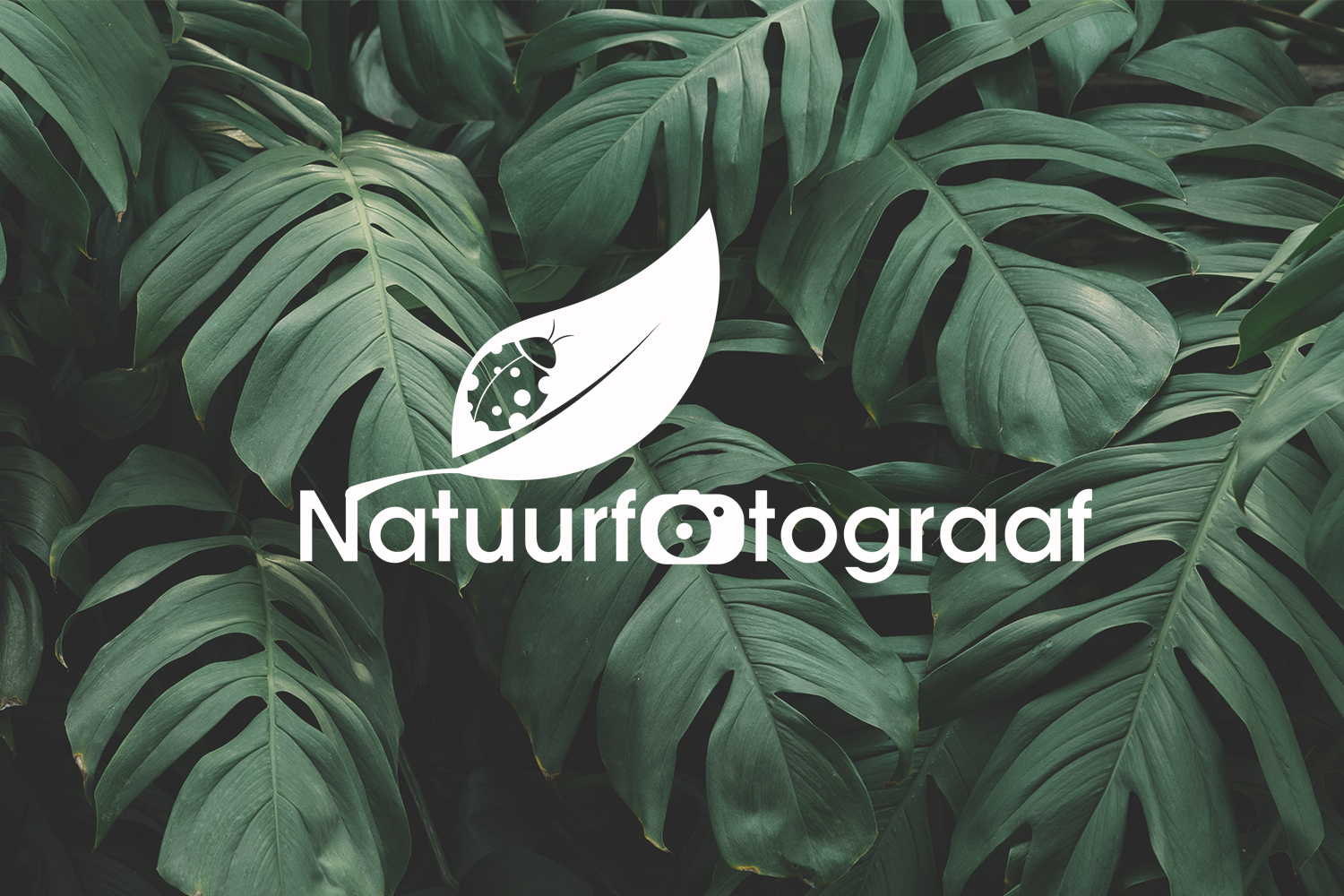 Logo Design by Haroon AK for this project | Design #24675685