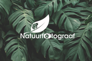 Logo Design by Haroon AK for this project | Design: #24675685