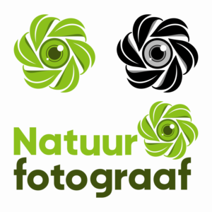 Logo Design by Juanitozzz