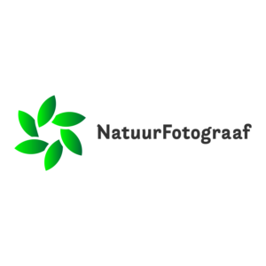 Logo Design by gntkart for this project | Design: #24670941