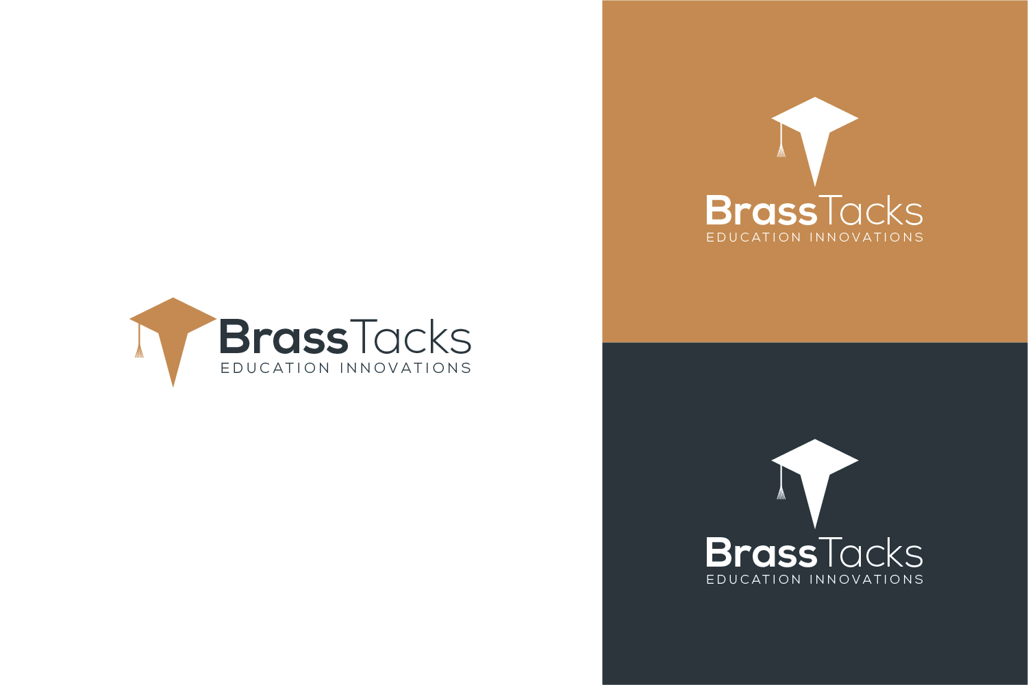 Logo Design by Muhammad Imran 3 for Leading Learners Institute | Design #24630296