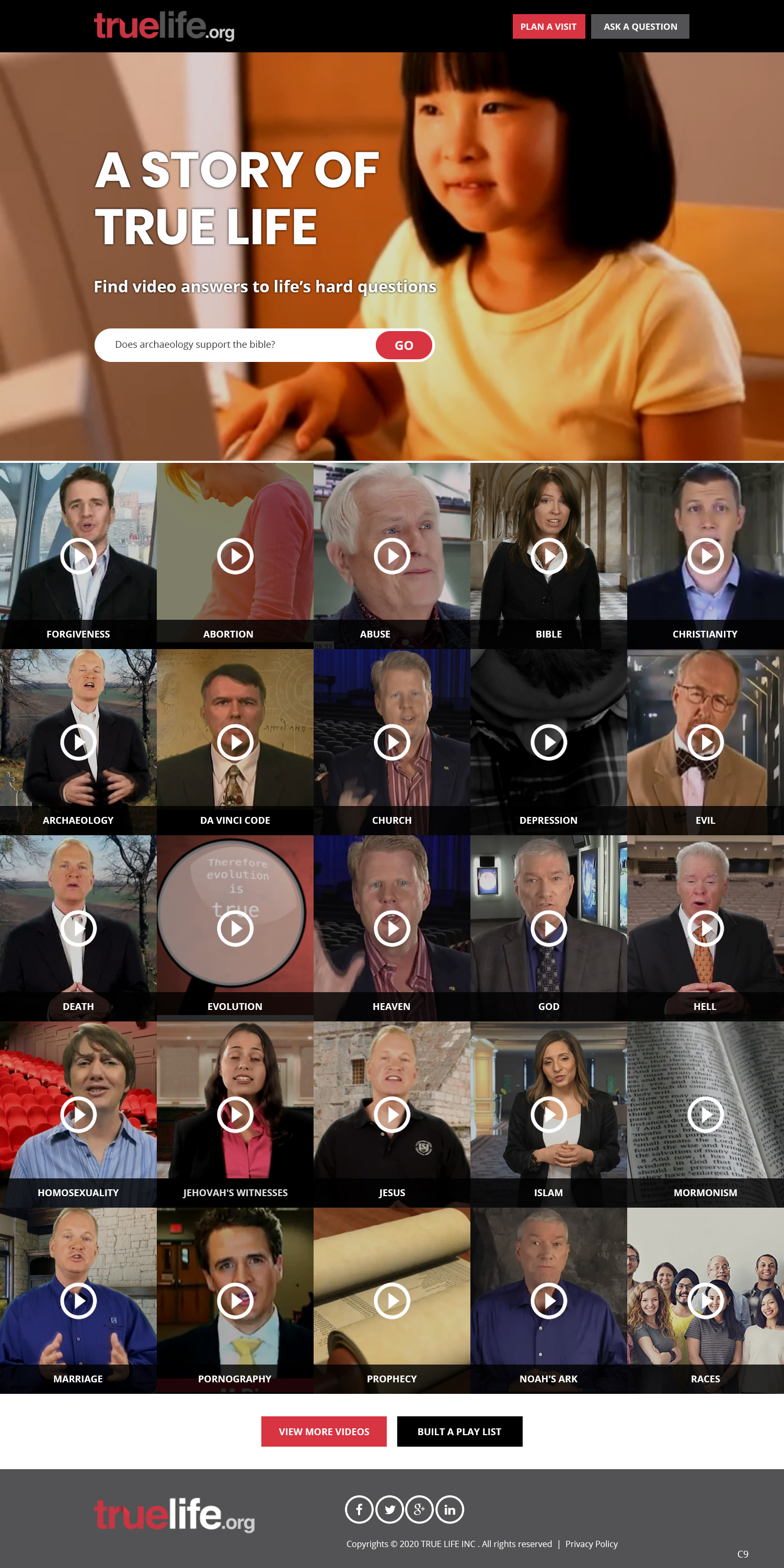 Diseño Web por pb para este proyecto | Diseño #24654812