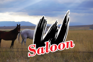 Diseño de Señalética por HAMDIYA para W Salon | Diseño: #24643871