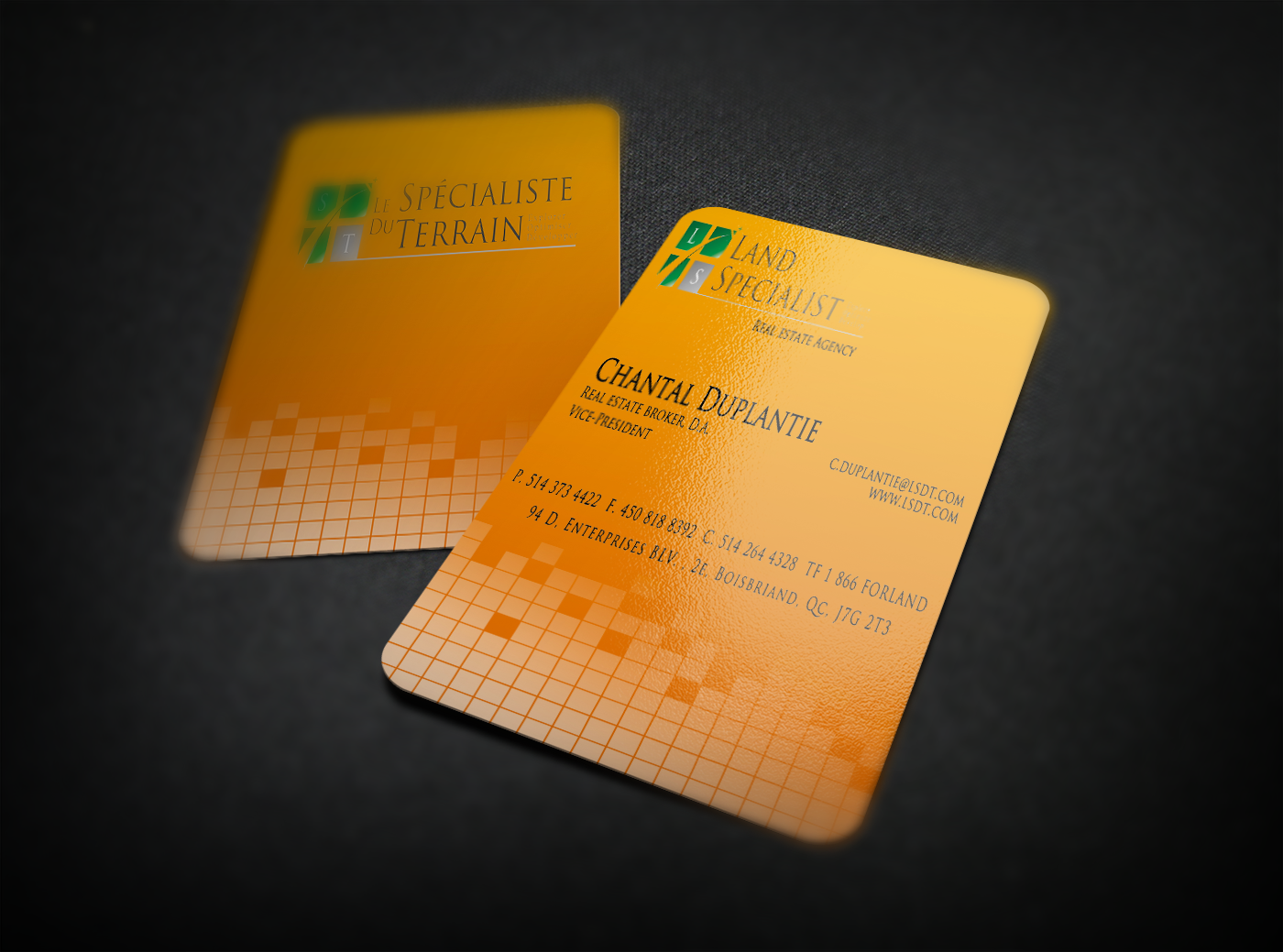 Business Card Design by fo2shawy001 for this project | Design #3067246